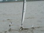 equilibrium-segeln-8-cropped-web