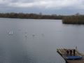 IMG 0468_web